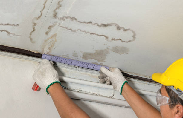 Reliable Mold Remediation contractor in Crosby, MN by Water Damage Irwin